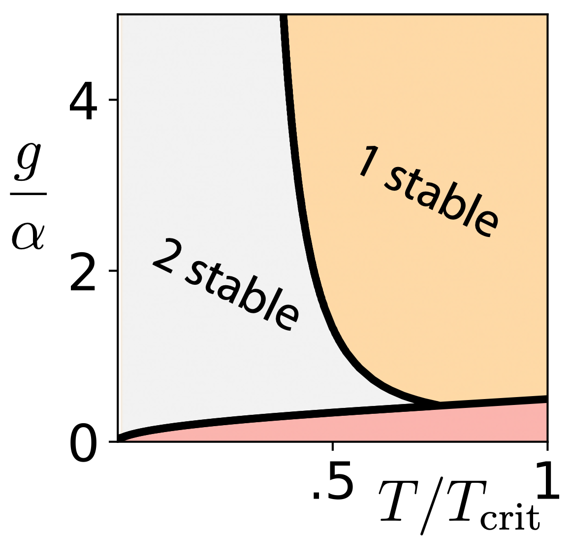 curriculum.png